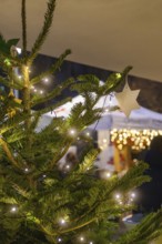 Close-up of an illuminated Christmas tree with a star in front of it, Aidlingen Christmas market,