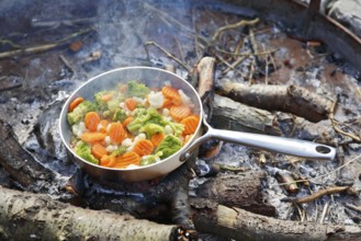 Eating a nature photographer, preparing a meal over an open fire, Peenetal nature park Park,
