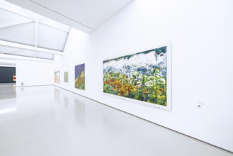 Detailed photos of colorful, modern works of art in a bright gallery environment, Open Horizons