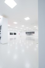 Bright, minimalistic art gallery with several paintings on the wall, Open Horizons exhibition,