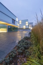 Illuminated, modern building in the evening with glass faÃ§ade and green plants in the foreground,