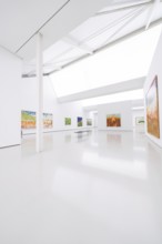 Bright art gallery with various paintings on white walls in modern design, Open Horizons