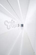 A bright, narrow corridor with artistic wall decorations in modern style, Open Horizons exhibition,