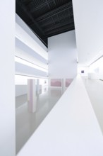 Modern gallery with clear room structure, shadows and minimalistic style, illuminated by skylights,