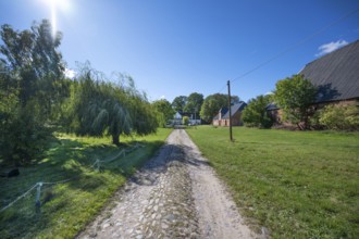 Old road to the manor house, on the right the horse stable and barn from 1923, Gut Othenstorf,