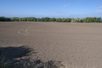 Large, harrowed fields, Othenstorf, Mecklenburg-Western Pomerania, Germany