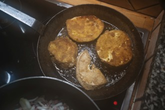 Breaded schnitzel of giant bovista (Bovista) in a pan, Mecklenburg-Vorpommern, Germany
