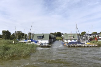 Port of Althagen auf dem DarÃŸ, Mechlenburg-Vorpommern, Germany