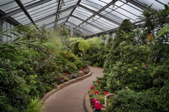 Path through azaleas, greenhouse, Wilhelma, Zoological-Botanical Garden, Stuttgart,