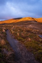 Volcanic landscape, Tama Lake Walk (Tama Lakes Track), evening light, sunset. Tongariro National