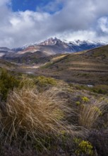 Volcanic landscape, Tama Lake Walk (Tama Lakes Track), Mt Ruapehu in the background. Tongariro