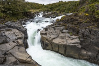 Whakapananui Stream and Mahuia Rapids, river and waterfall. Tongariro National Park, North Island,