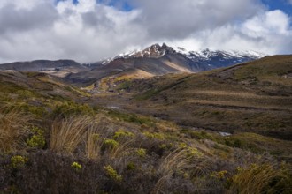 Volcanic landscape, Tama Lake Walk (Tama Lakes Track), Mt Ruapehu in the background. Tongariro