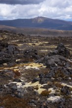 Volcanic landscape along Bruce Road. Different colored braids on rocks. In the back, Mount