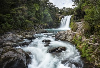 Waterfall Tawhai Falls (Gollum's Pool), location of the film trilogies The Lord of the Rings. Long