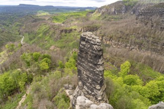 Rock formation and forest in the Bohemian Switzerland National Park near HÅ™ensko, Czech Republic