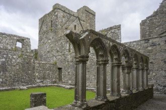 Cloister in the Ruins of Fore Apbbey, Fore, County Westmeath, Ireland