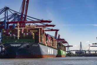 Container ship HMM Copenhagen at the Burchardkai container terminal in the port of Hamburg, Germany