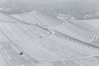 Snowy vineyards in the Stuttgart region in winter. Winter view of the vineyards in Fellbach,