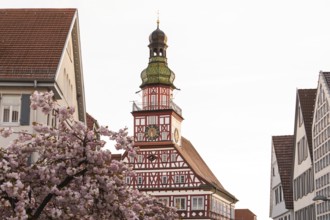 Kirchheim unter Teck, Baden-WÃ¼rttemberg, MarktstraÃŸe with historic half-timbered town hall at