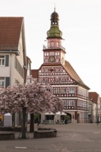 Kirchheim unter Teck, Baden-WÃ¼rttemberg, MarktstraÃŸe with historic half-timbered town hall at
