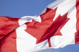 Red and white Canadian flag with a maple leaf waving in the air in downtown Toronto near Ontario