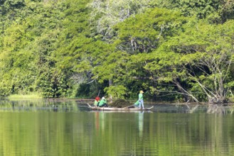 Women harvest seagrass, water channel in Angkor Thom, UNESCO World Heritage Site, Siem Reap,
