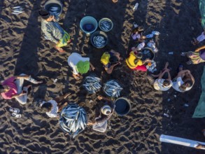 Fishermen unload their fish from their outrigger boat in the morning. Amed, Karangasem, Bali,