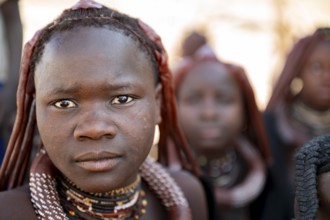 Portrait, Himba woman, traditional Himba village, Kaokoveld, Kunene, Namibia