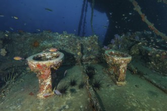 Underwater photo of two toilet bowls toilet bowl in sunken shipwreck, Andaman Sea, Wreck King