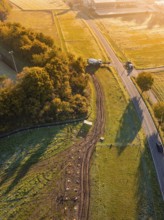 Road through fields with construction, surrounded by trees in early sunlight, construction PV