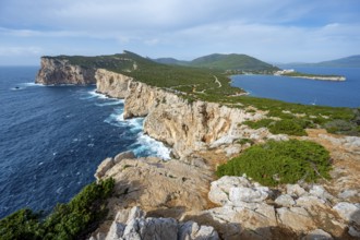 Steep cliffs by the sea, coastal landscape, cliffs on the Capo Caccia headland, Alghero, Sardinia,
