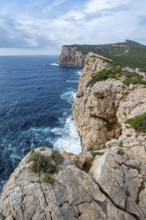 Steep cliffs by the sea, Belvedere Foradada, cliffs on the Capo Caccia headland, Alghero, Sardinia,