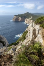 Steep cliffs by the sea, coastal landscape, cliffs on the Capo Caccia headland, Alghero, Sardinia,