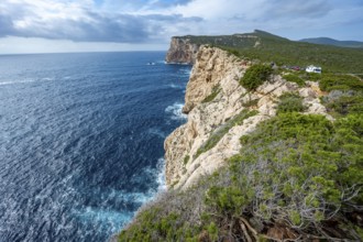 Steep cliffs by the sea, Belvedere Foradada, cliffs on the Capo Caccia headland, Alghero, Sardinia,