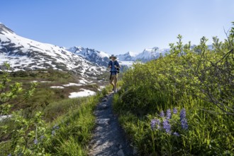 Hikers on the Portage Pass Trail, snow-covered mountains and Portage Glacier glaciers, near