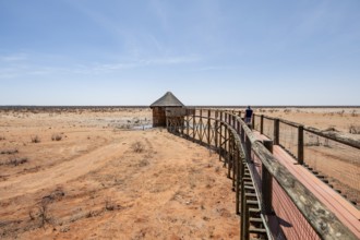 Olifantsrus Camp, waterhole, Etosha National Park, Namibia