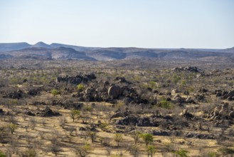 Hobatere Concession, Arid Landscape in Western Etosha National Park, Namibia