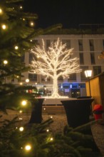Evening shot of a decorative, festively lit tree in a city environment, Sindelfingen, Böblingen