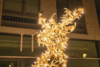 Glowing reindeer at night, decorated with fairy lights in gold, Sindelfingen, Böblingen district,