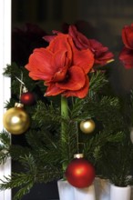 Still life with amaryllis and Christmas tree balls, Germany