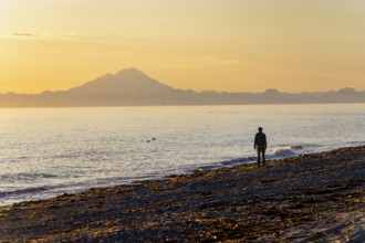 Young man walking along the beach at sunset, view across Cook Inlet to white mountain peaks of