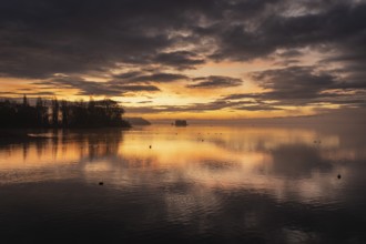 Morning lighting, water reflections, silhouettes on the lakeside near Radolfzell am Lake Constance,
