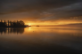 Morning lighting, water reflections at sunrise, silhouettes on the lakeside near Radolfzell am Lake