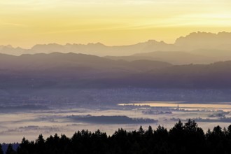 View from Horben of Lake Zug with the city of Cham and Zug covered in fog, behind it the