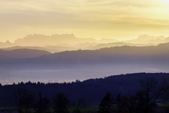 Glarus Alps with the FlÃ¼brig and VrenelisgÃ¤rtli mountains, in the light of the rising sun, Auw,