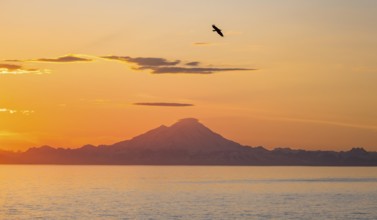 View over Cook Inlet to white mountain peaks of Mount Redoubt, at sunset, picturesque golden light