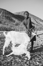 Black and white, Himba boy keeping goat, goat suckling young, Kaokoveld, Kunene, Namibia