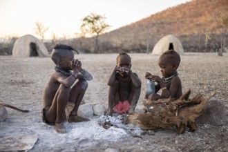 Himba children at the fire early in the morning, traditional Himba village, Kaokoveld, Kunene,