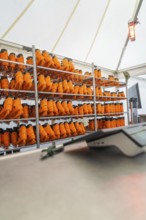 A tent with several shelves full of orange boots and a heater on the wall, Sindelfingen, Böblingen